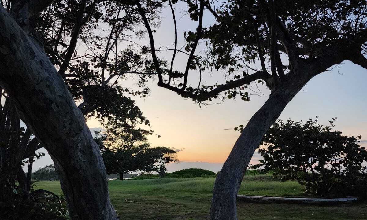 Photo of Outdoor in Silver Sands