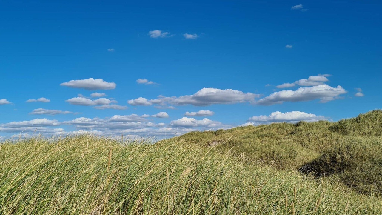 Photo of Others in Rødhus