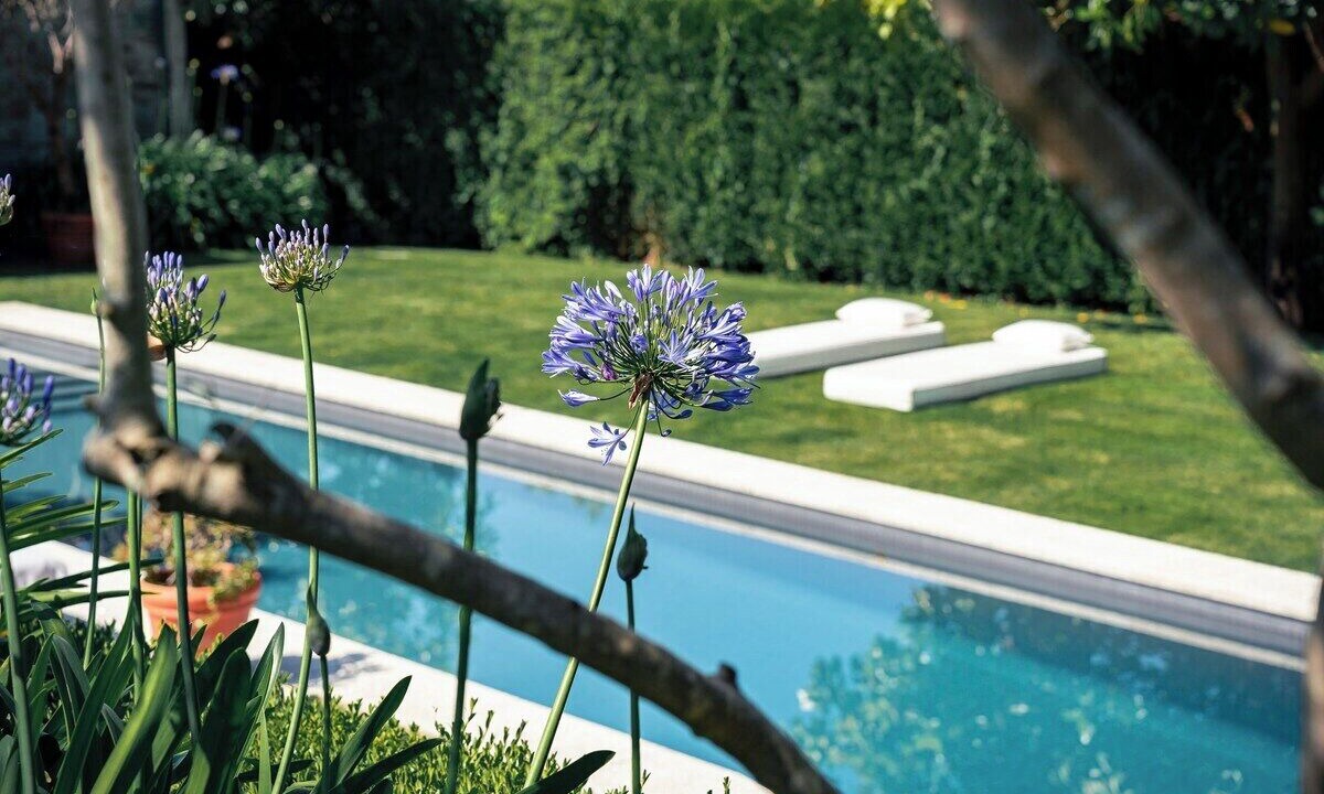 Photo of Outdoor in Paderne