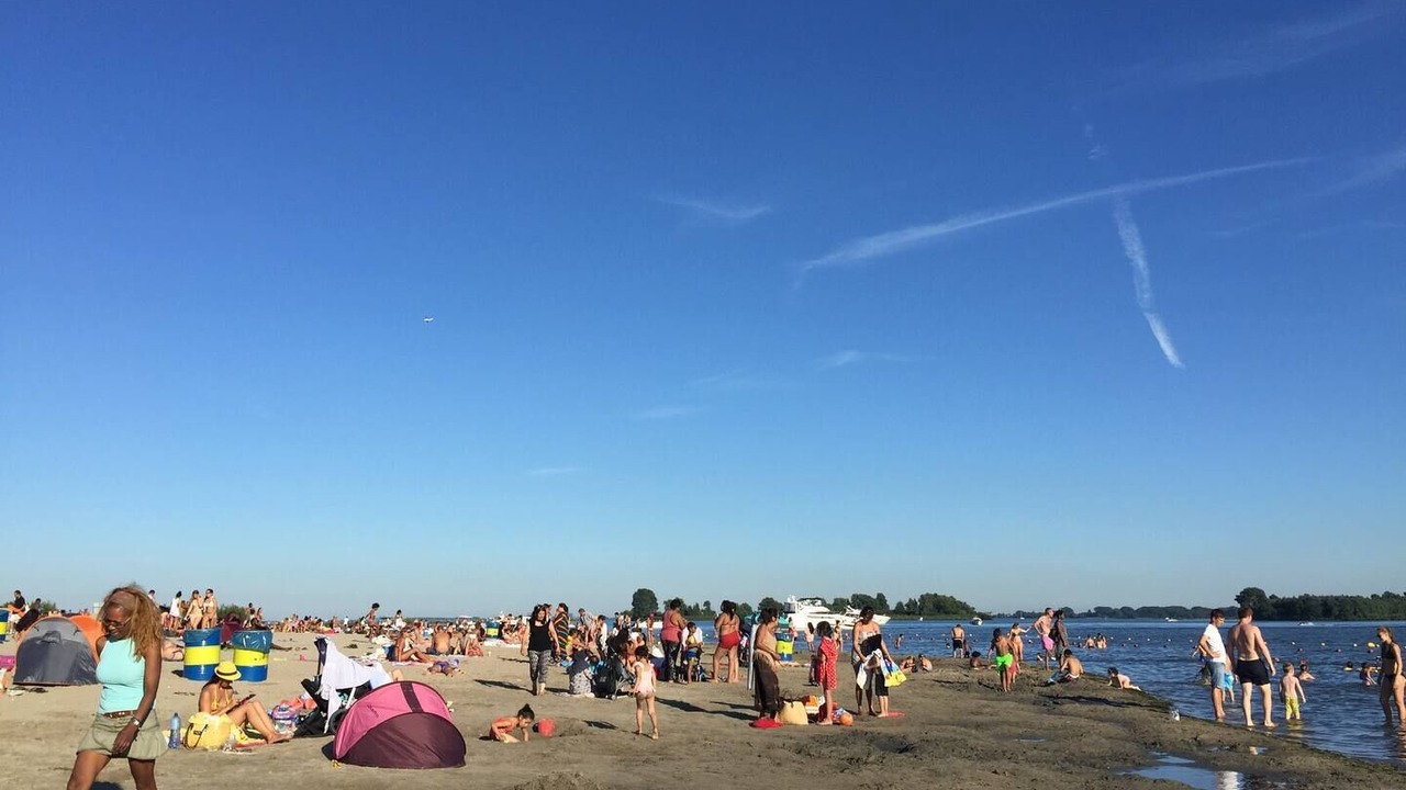 Photo of Others in Amsterdam East