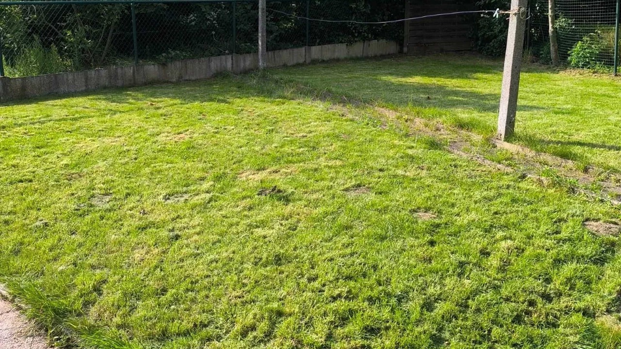 Photo of Outdoor in Hoegaarden