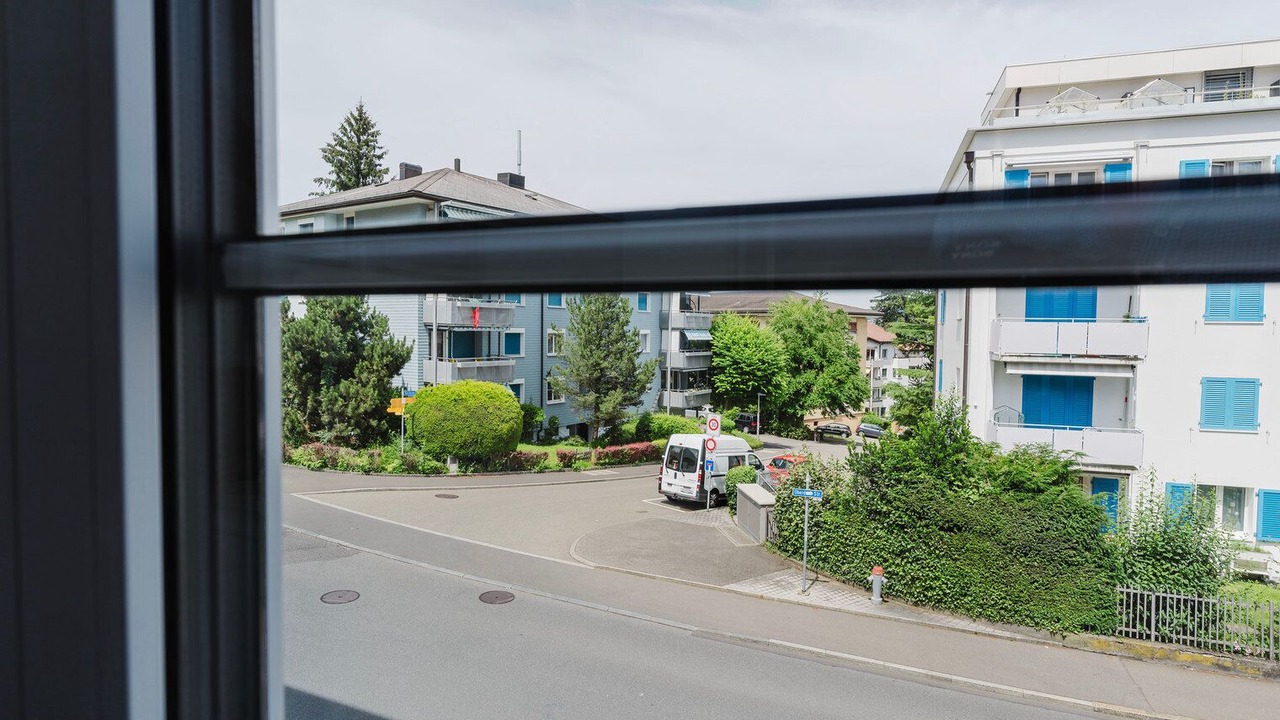 Photo of Others in Horgen District
