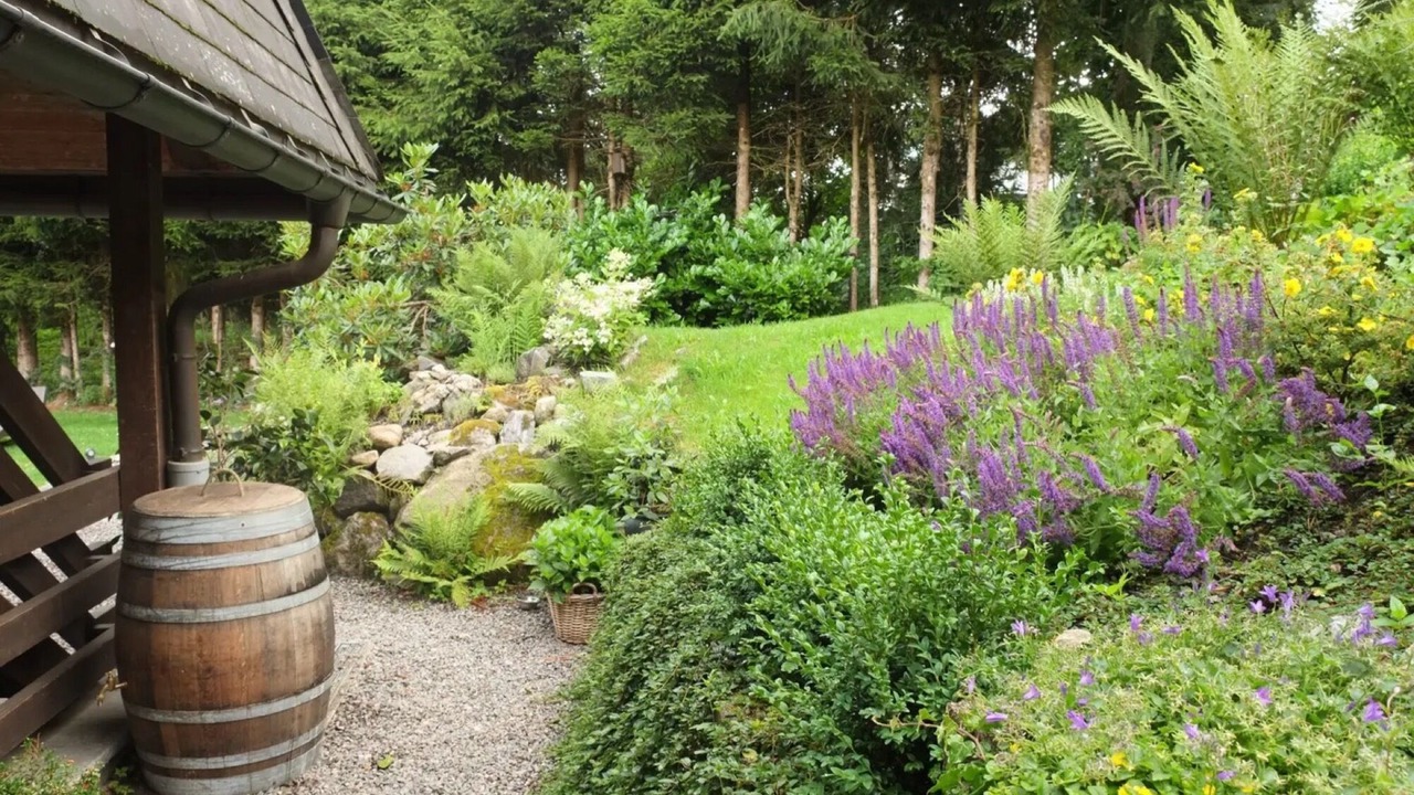 Photo of Outdoor in Hinterzarten