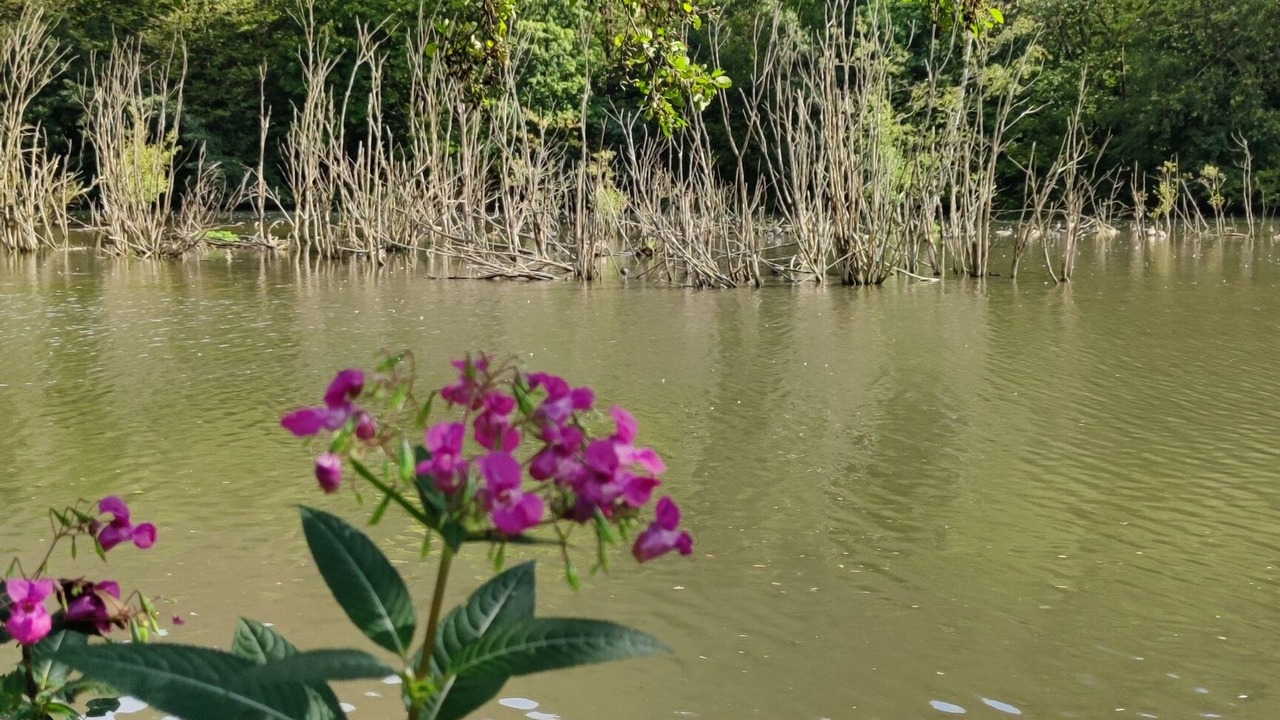 Photo of Outdoor in Rodt
