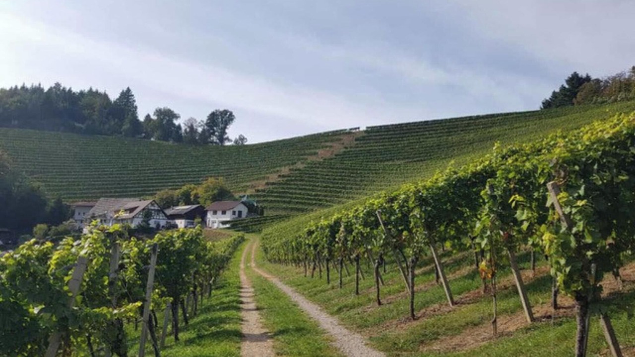 Photo of Others in Oberkirch