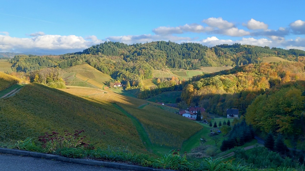 Photo of Others in Oberkirch
