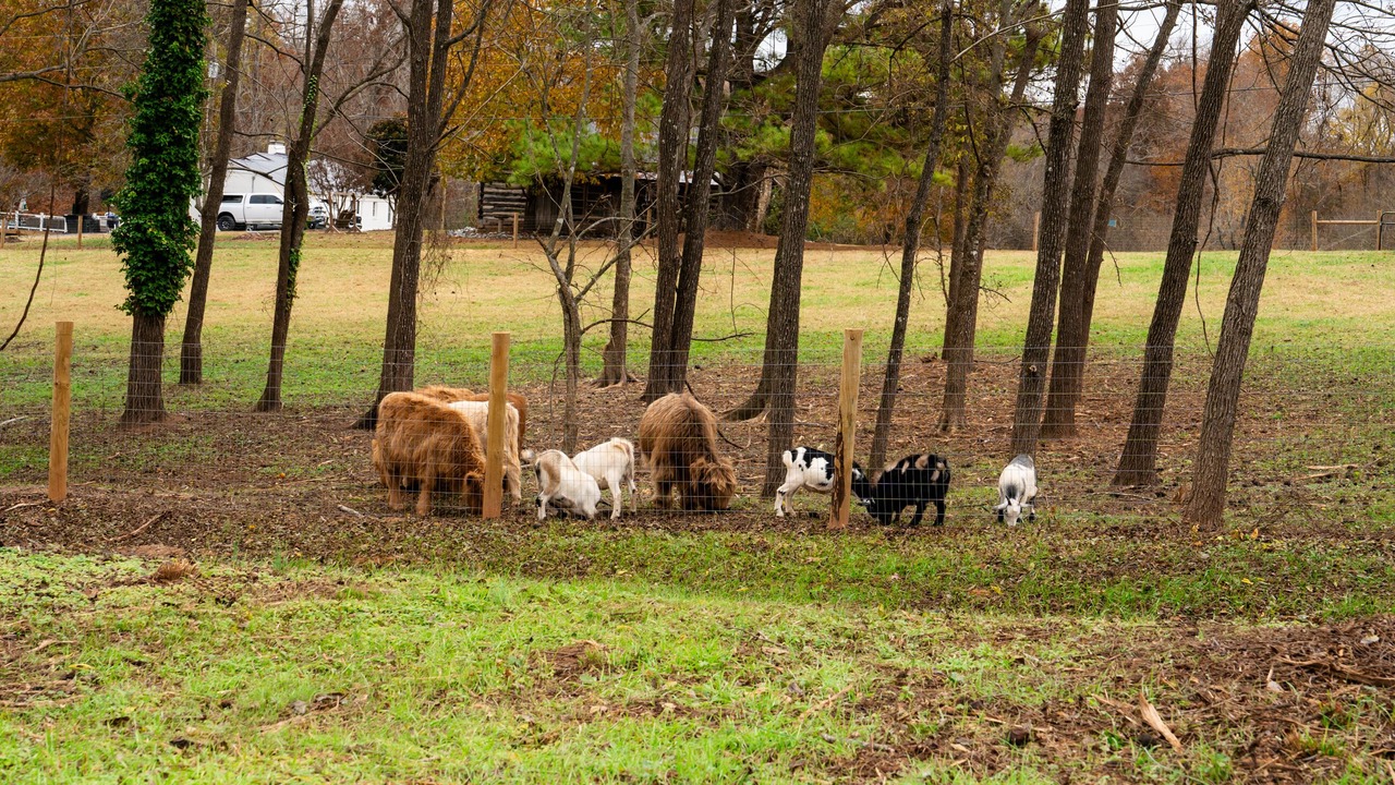 Photo of Outdoor in Asheboro