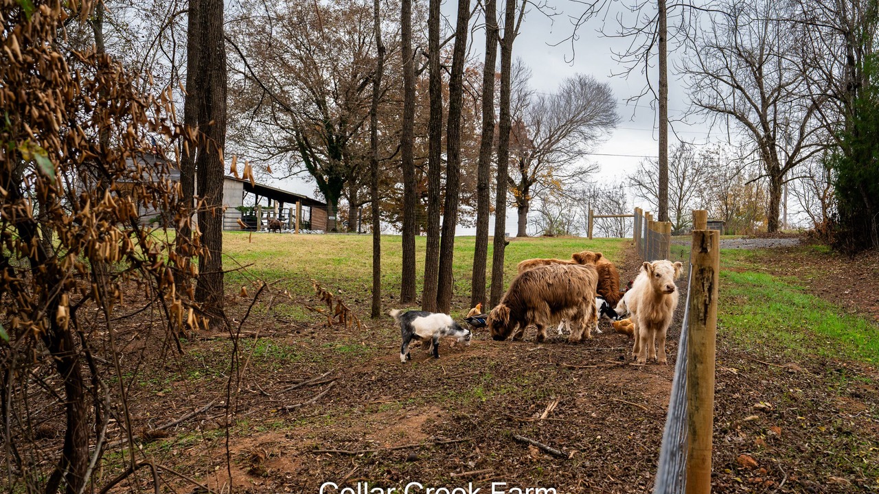 Photo of Others in Asheboro