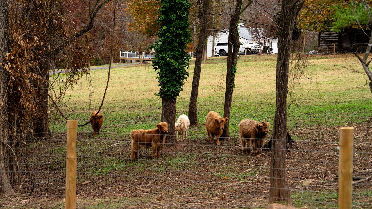 Photo of Outdoor in Asheboro