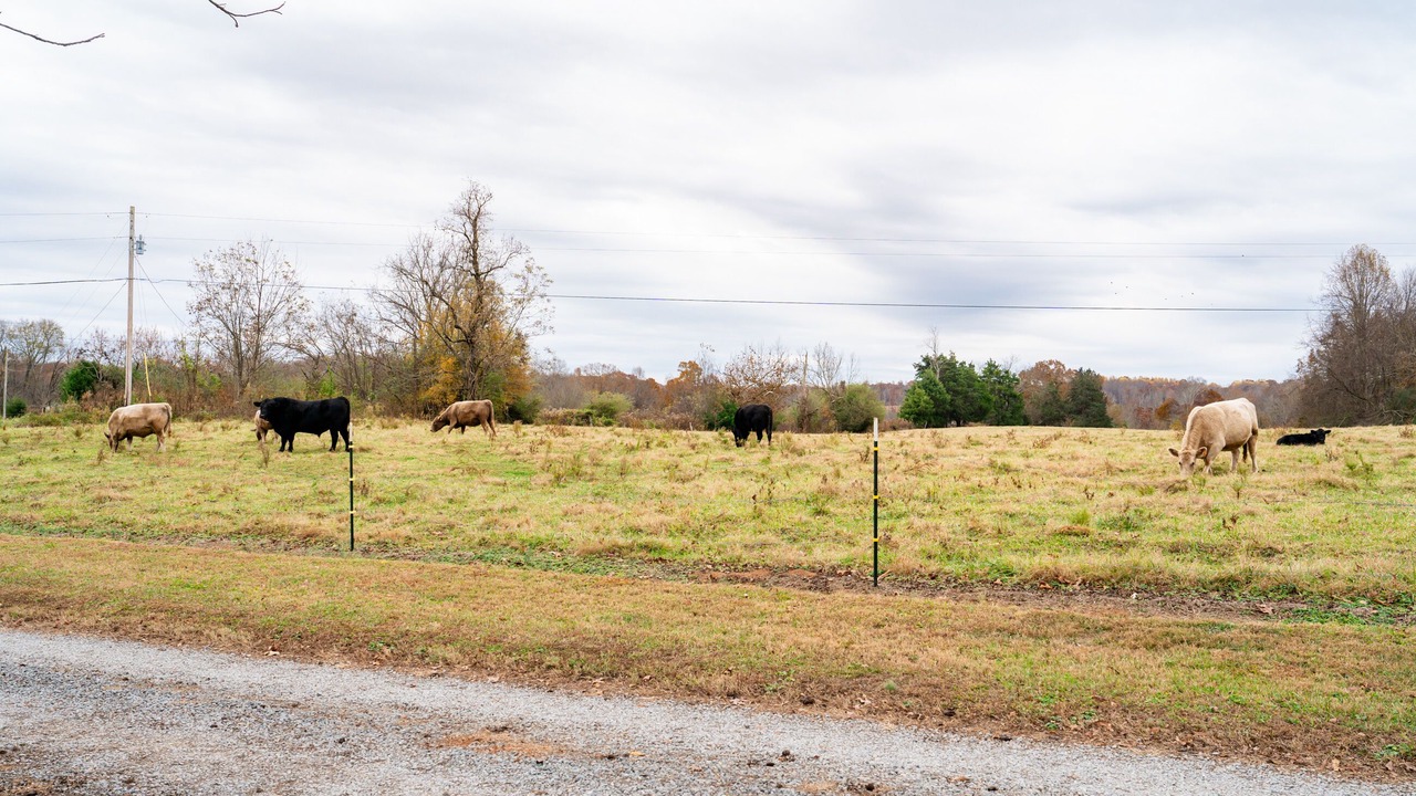 Photo of Others in Asheboro