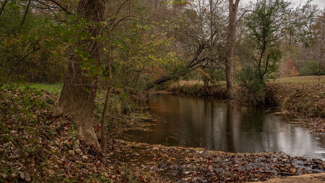 Photo of Outdoor in Asheboro