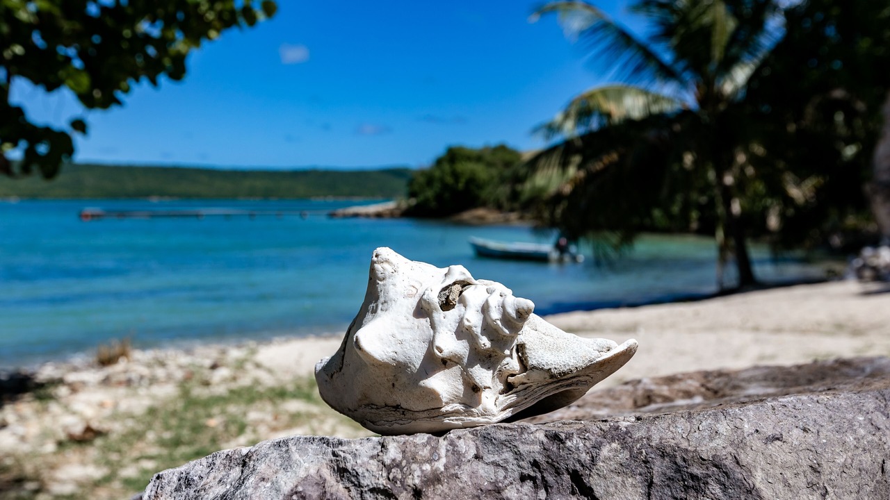 Photo of Others in Mamora Bay