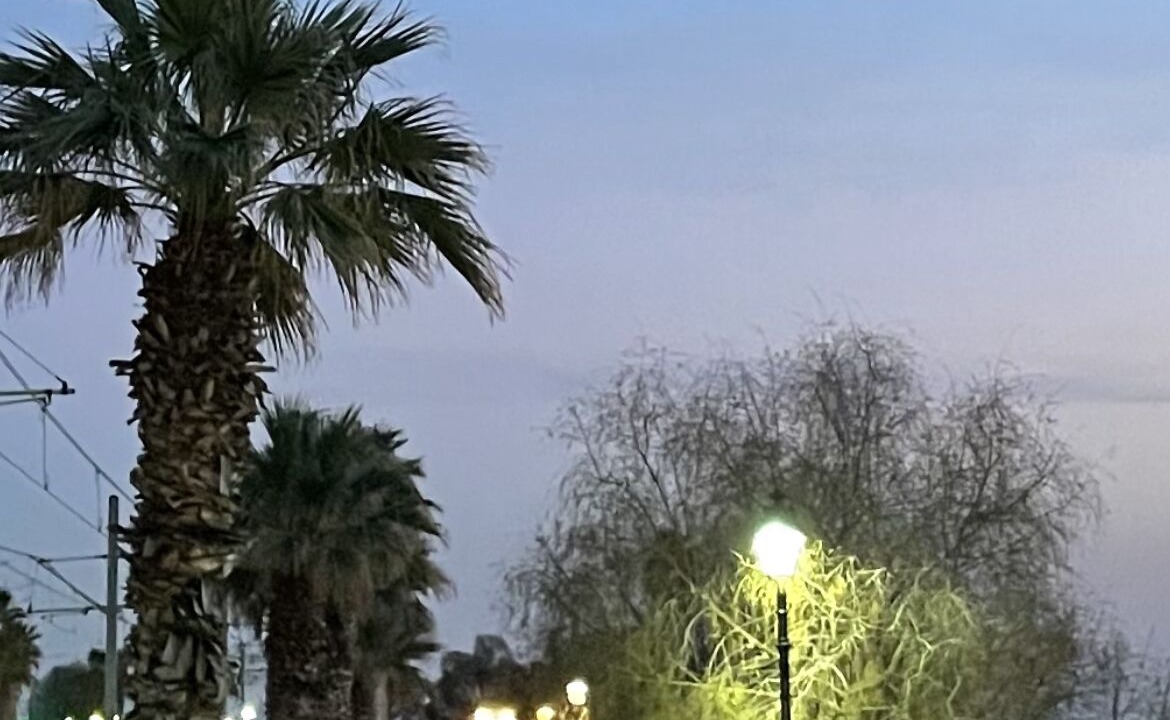 Photo of Others in Palaio Faliro