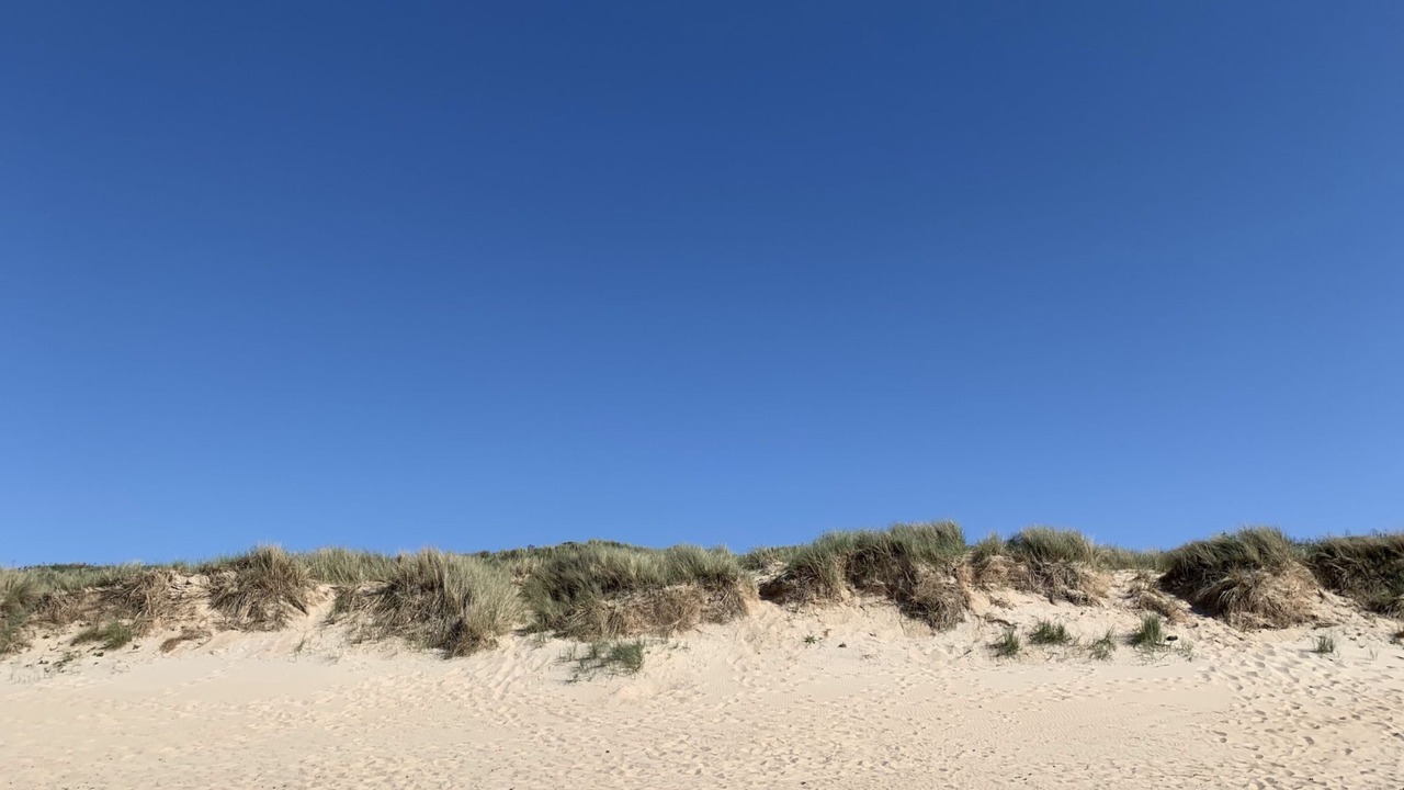 Photo of Others in De Haan