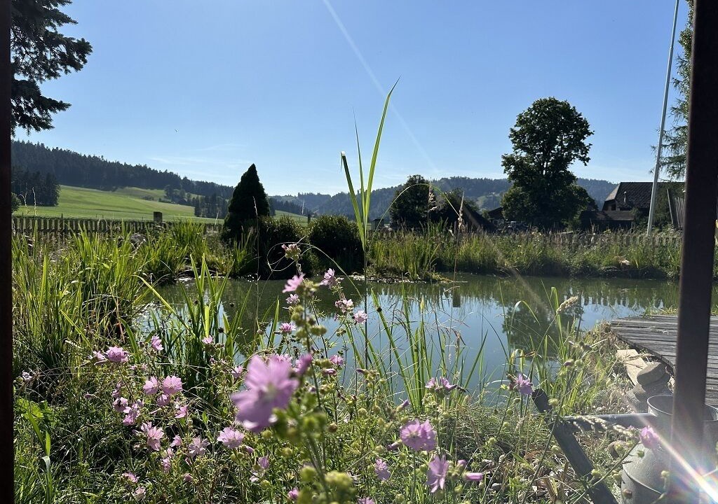 Photo of Outdoor in Schupbach