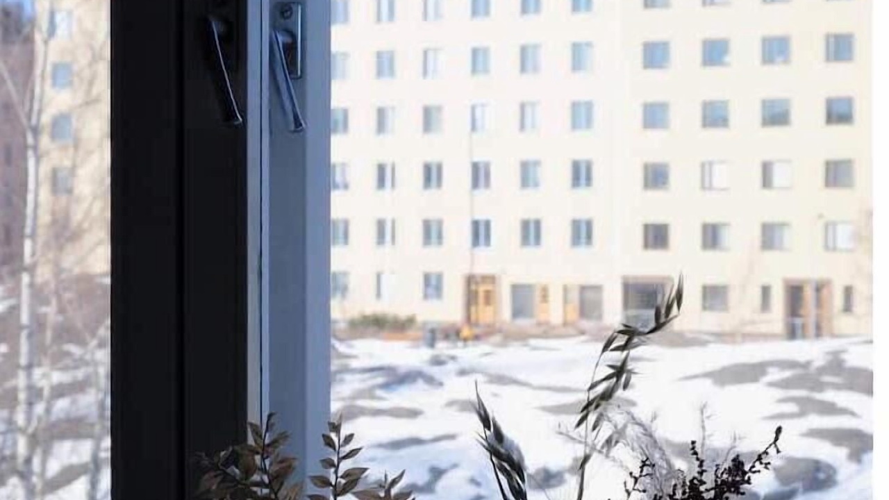 Photo of Others in Alppiharju