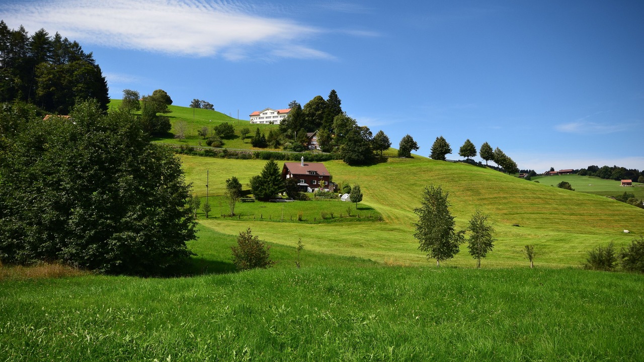 Photo of Others in Heiden