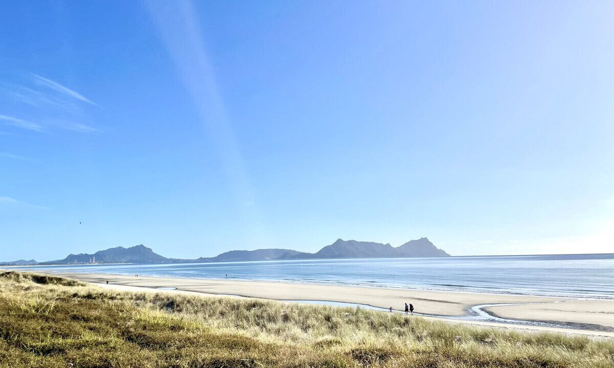 Photo of Others in Ruakaka