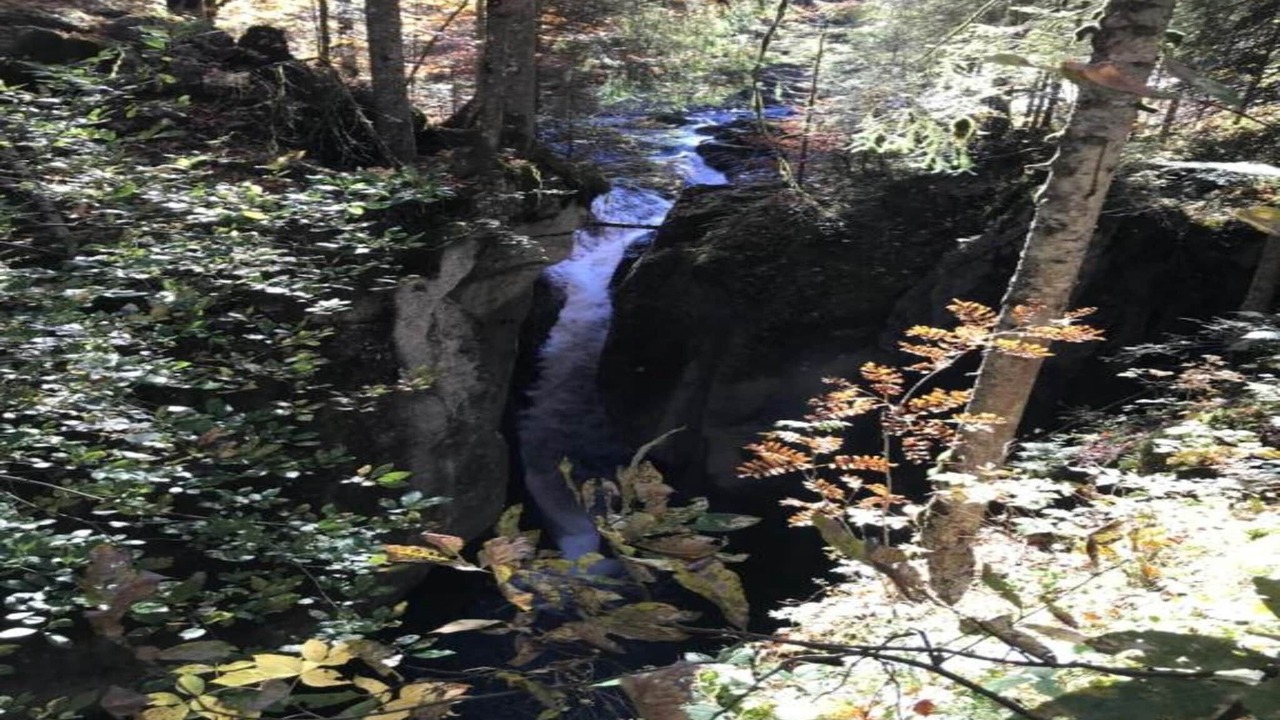 Photo of Others in Sibratsgfaell
