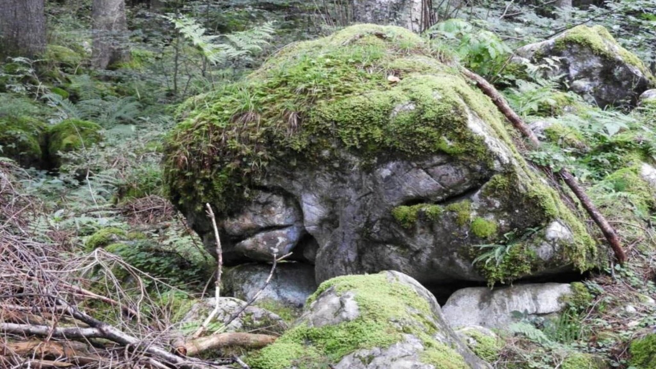 Photo of Others in Sibratsgfaell