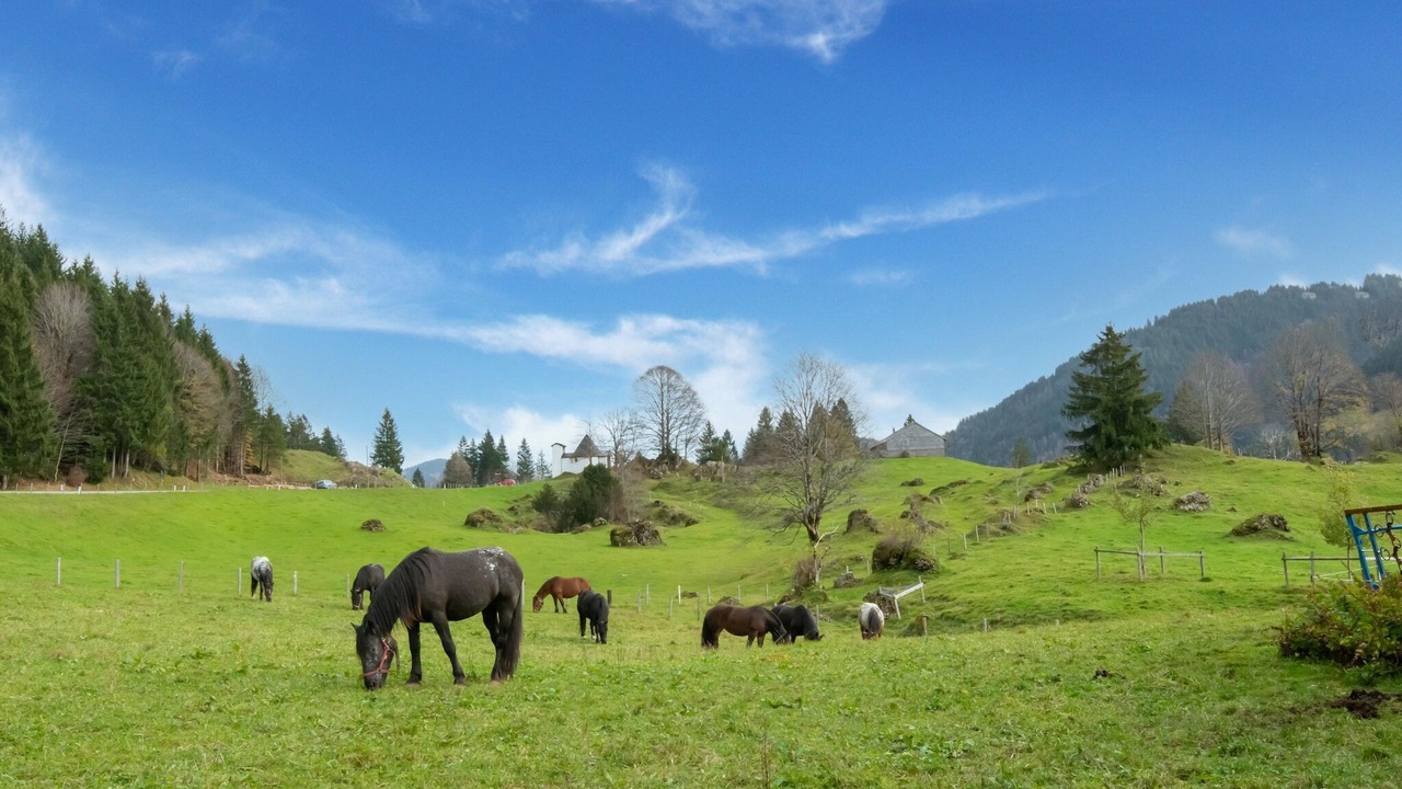 Photo of Others in Sibratsgfaell