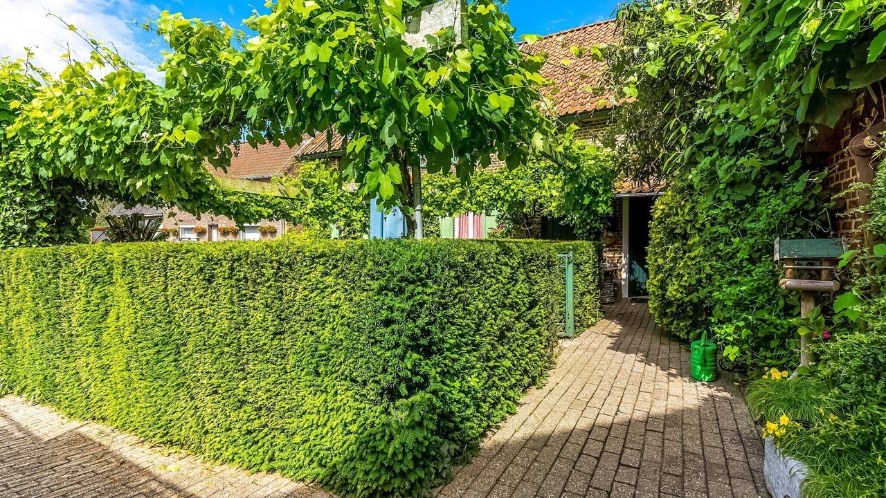 Photo of Outdoor in Maasmechelen