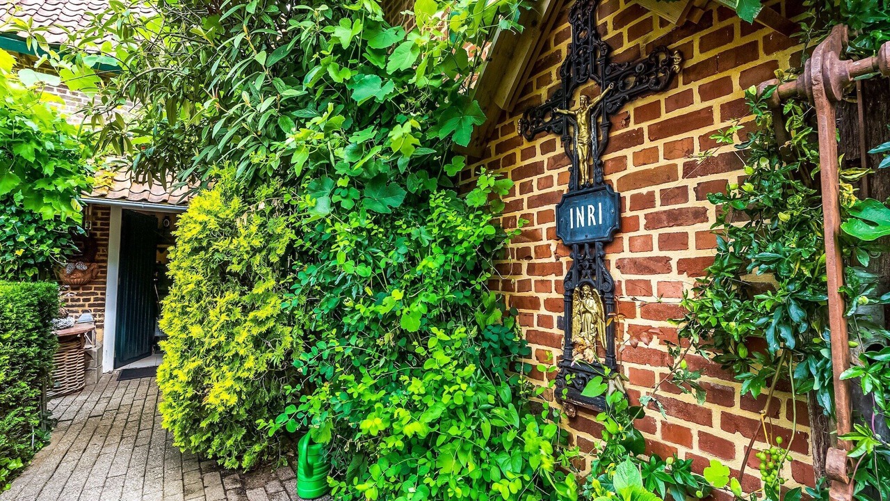 Photo of Outdoor in Maasmechelen