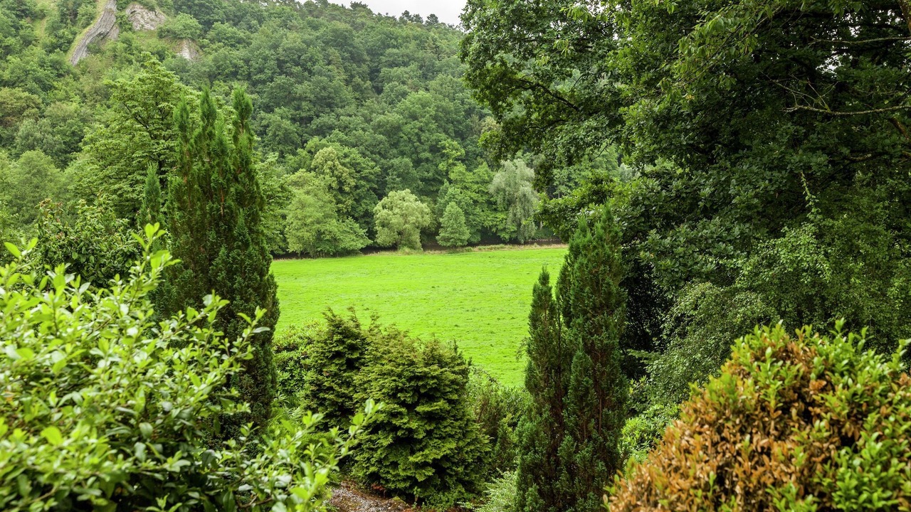 Photo of Others in Durbuy