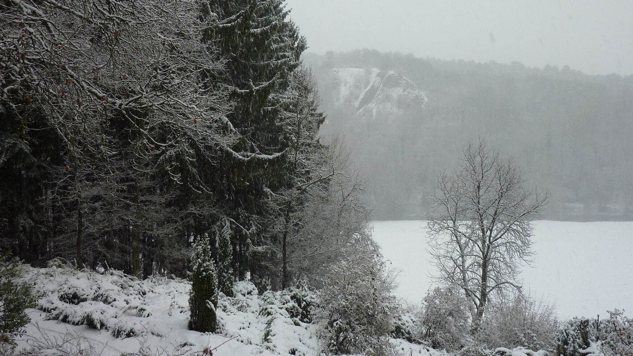 Photo of Outdoor in Durbuy