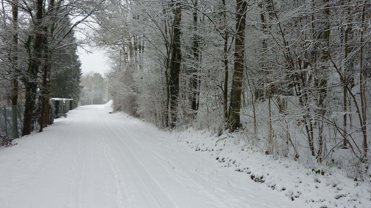 Photo of Outdoor in Durbuy