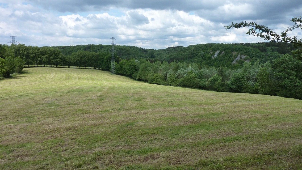 Photo of Others in Durbuy
