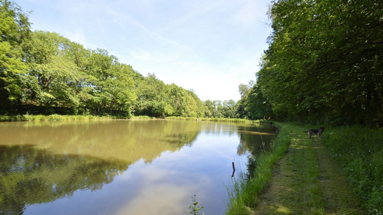 Photo of Others in Florennes