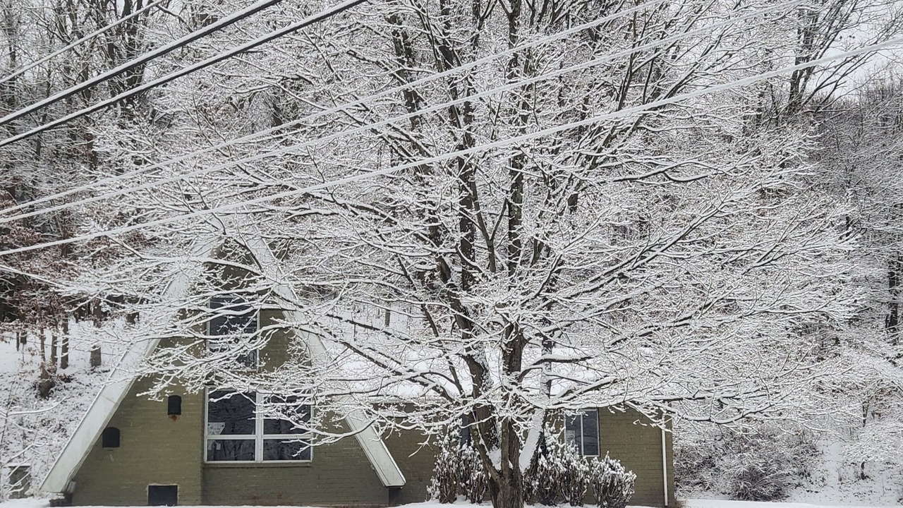 Photo of Outdoor in McGrann