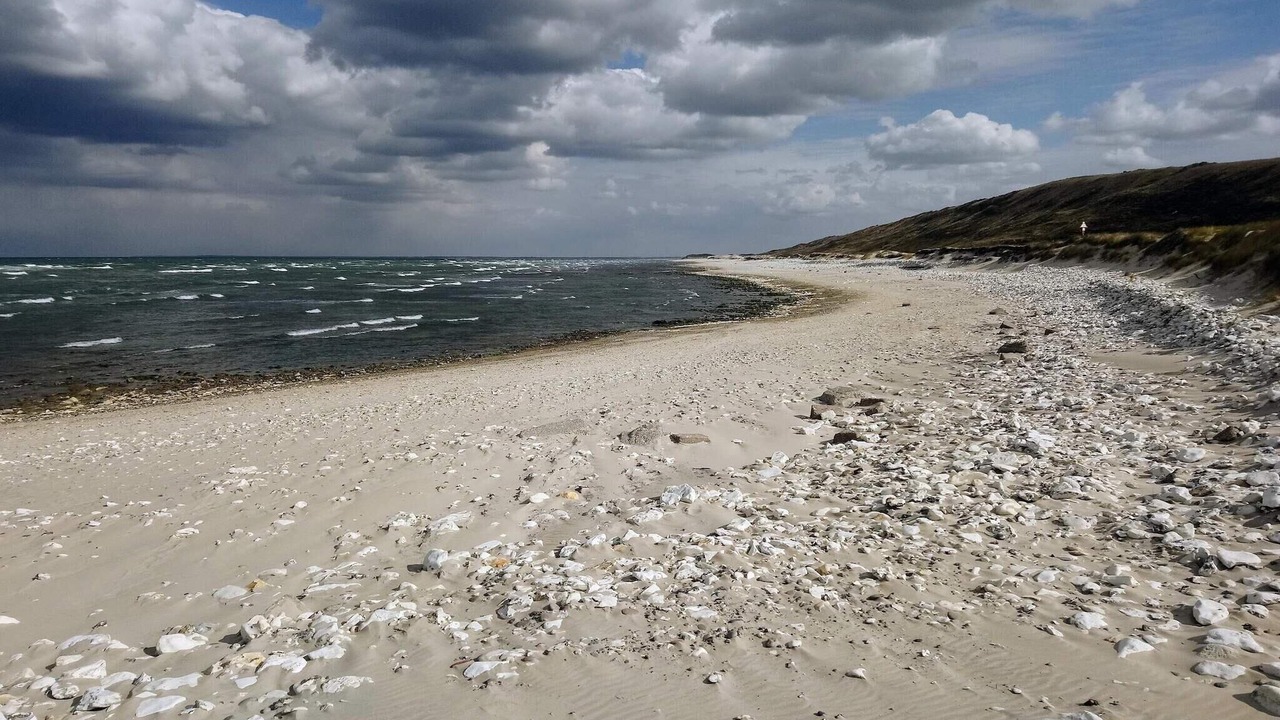 Photo of Others in Hanstholm