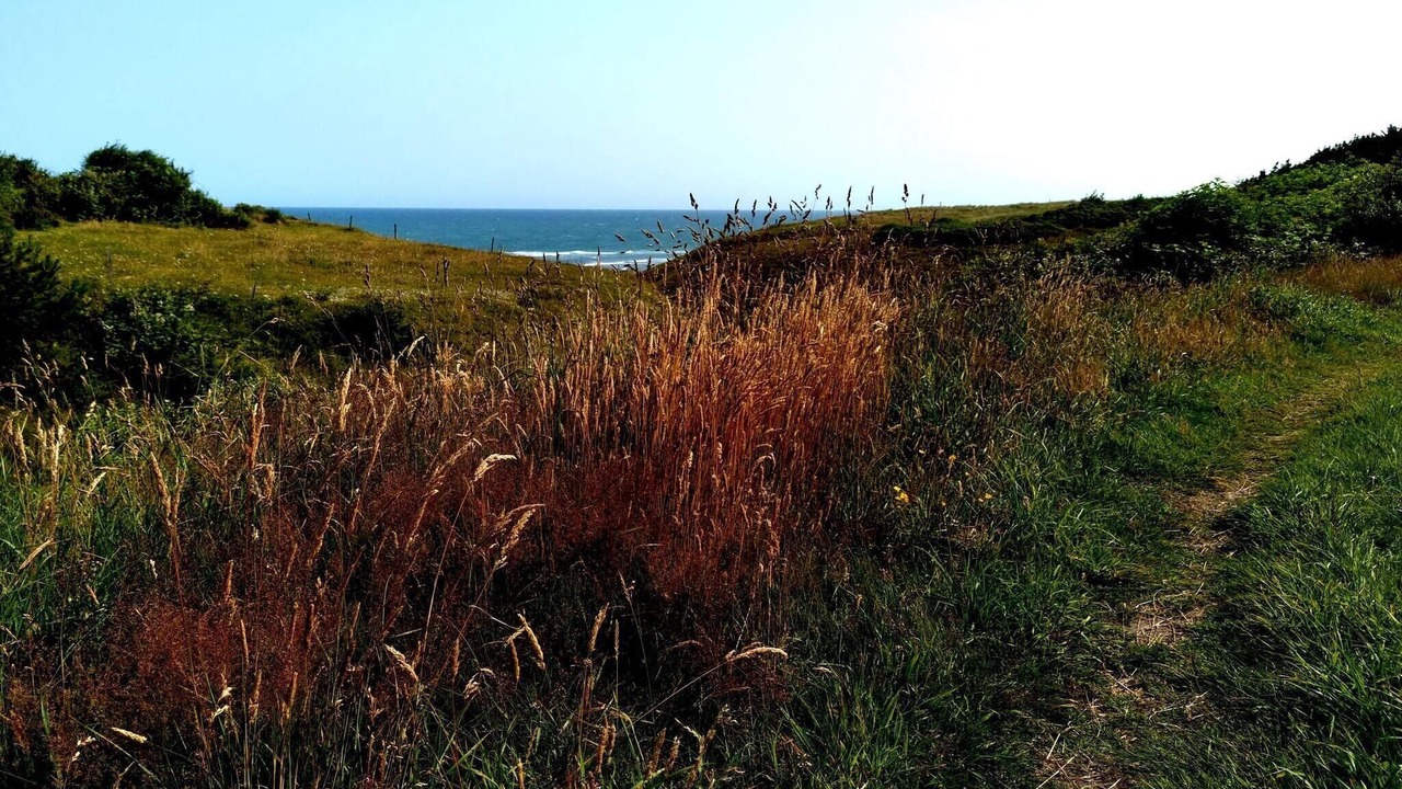 Photo of Others in Hanstholm