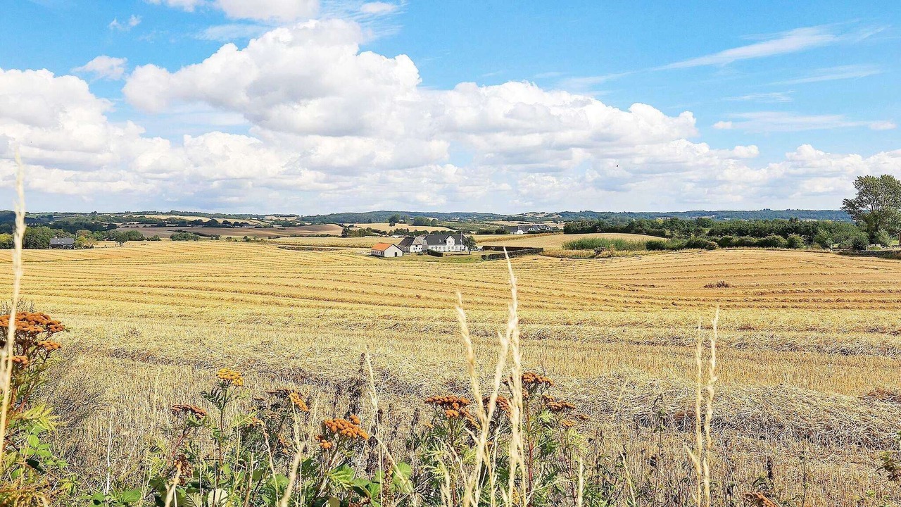Photo of Outdoor in Faaborg