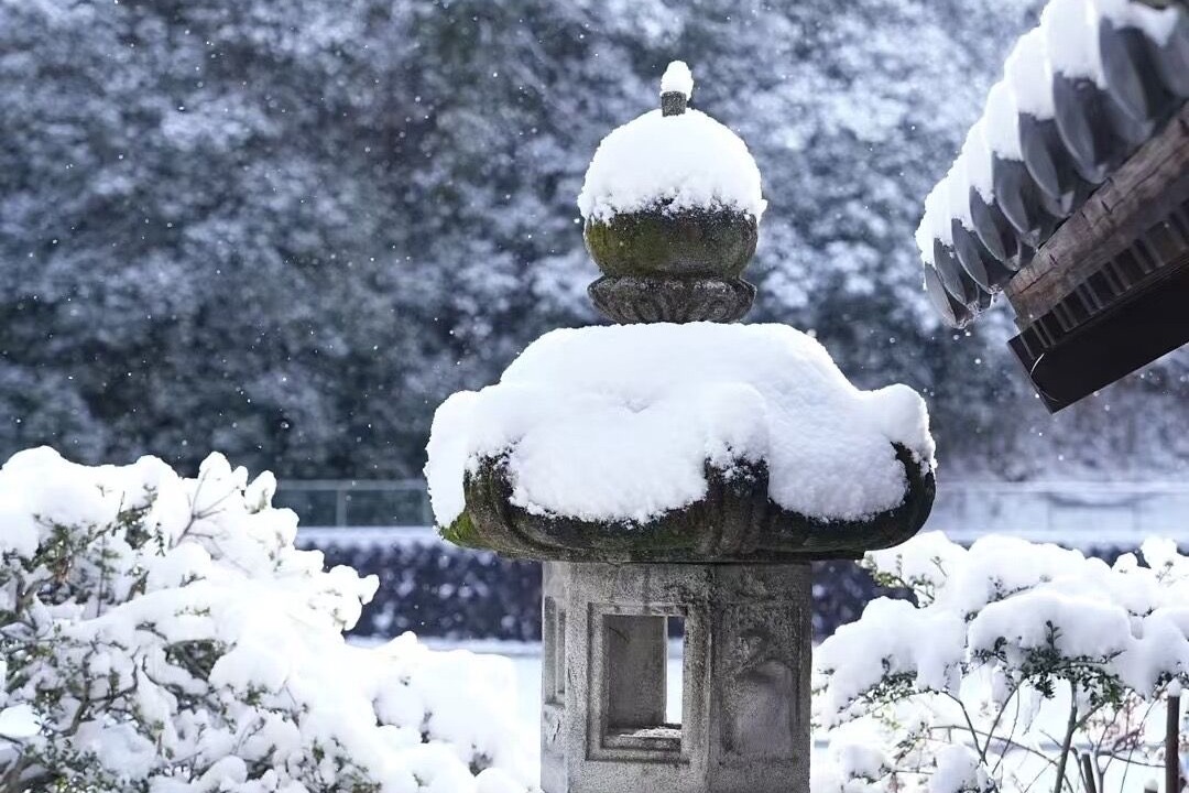 Photo of Outdoor in Kani