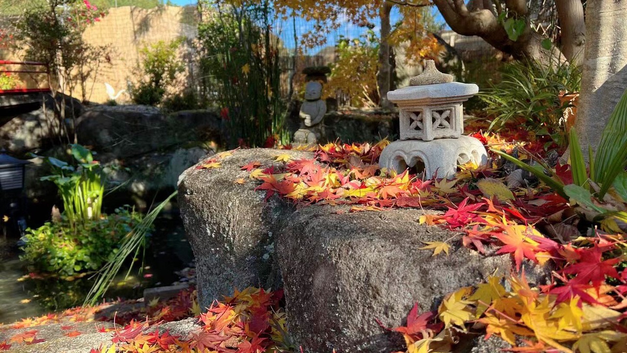 Photo of Outdoor in Kani