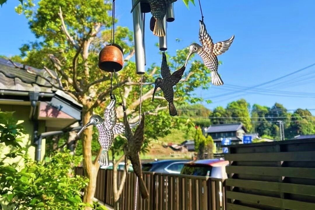 Photo of Outdoor in Kani