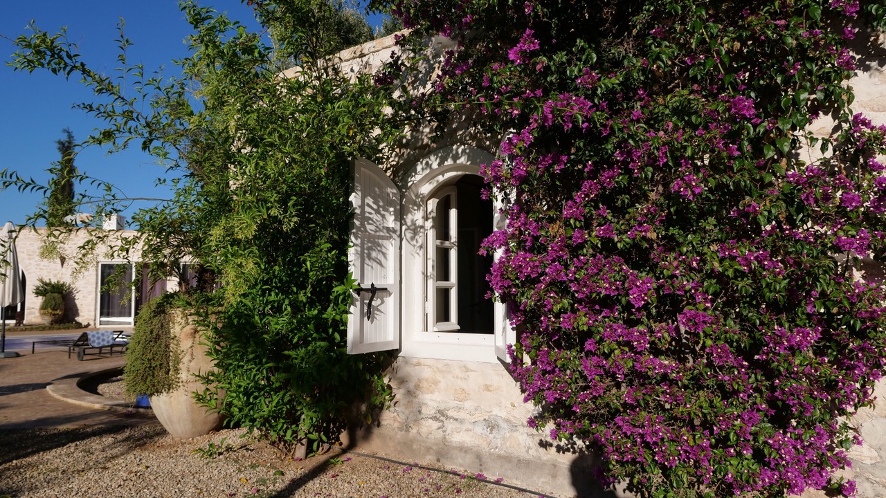 Photo of Outdoor in Ahl Agadir