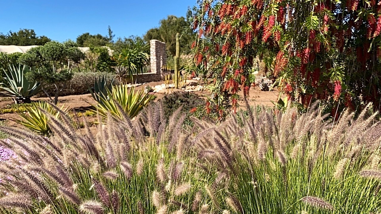 Photo of Outdoor in Ahl Agadir