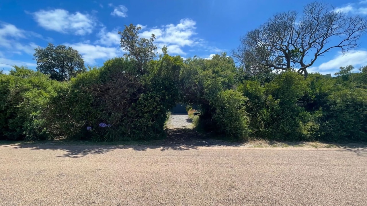 Photo of Others in Sandy Point