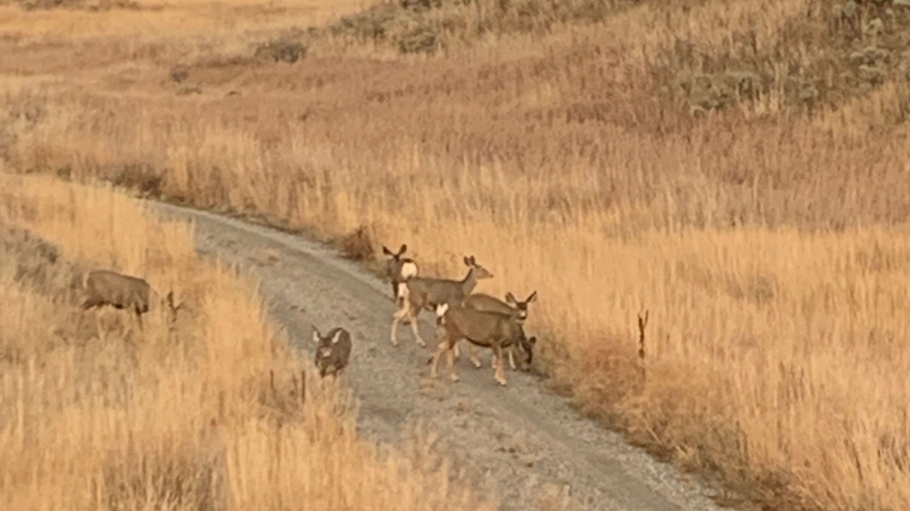 Photo of Outdoor in Emigrant