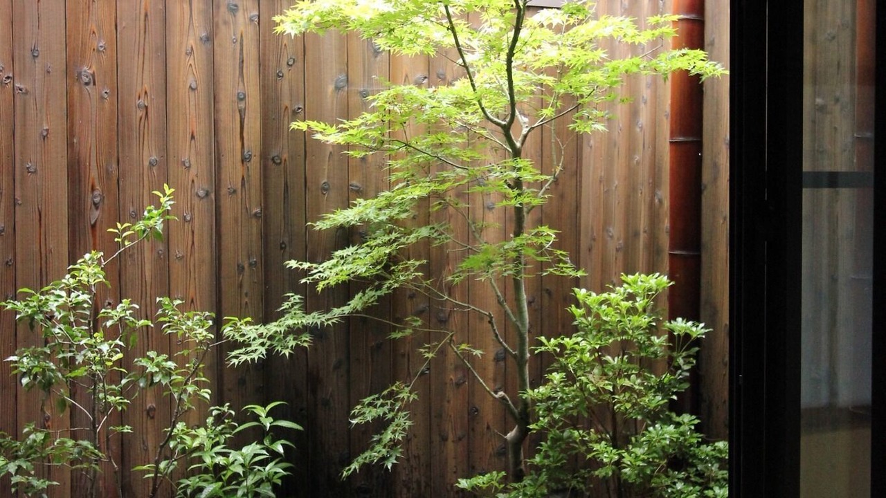 Photo of Others in Okazaki
