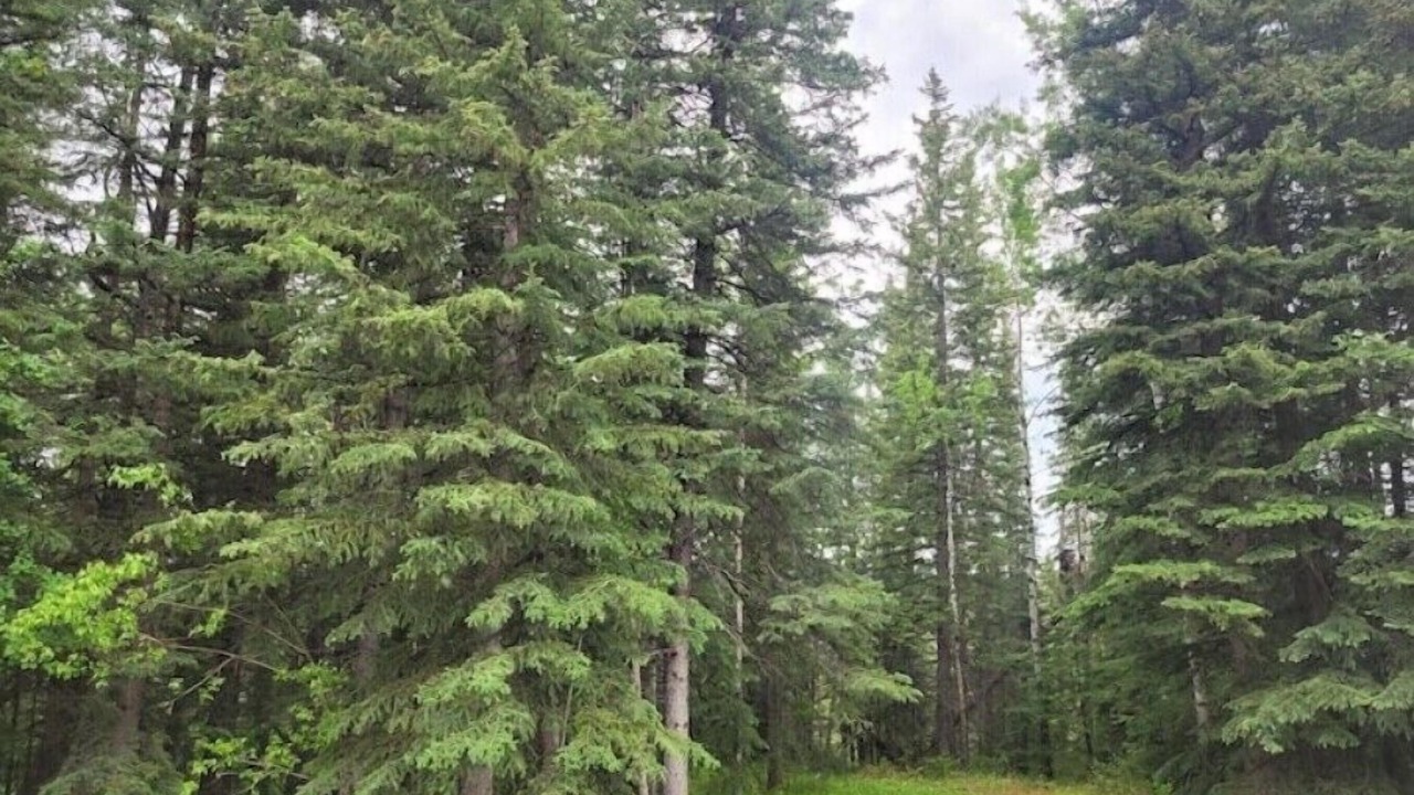 Photo of Outdoor in Hinton