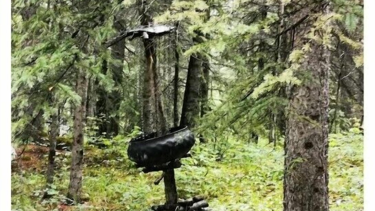 Photo of Others in Hinton