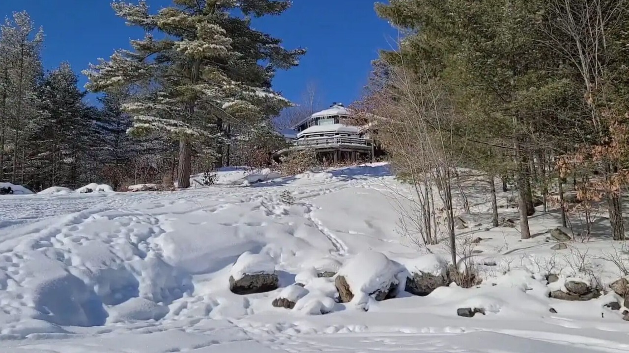Photo of Outdoor in Algonquin Highlands