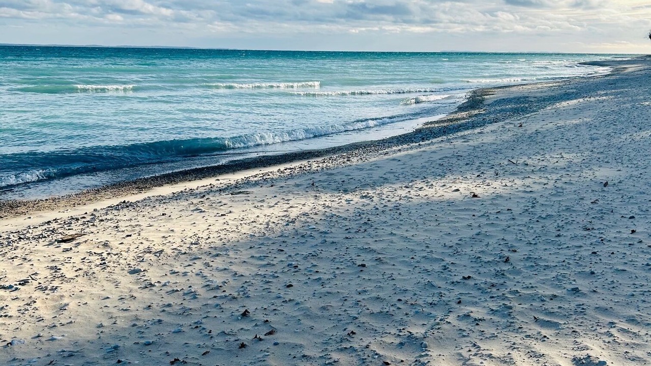 Photo of Others in Northport