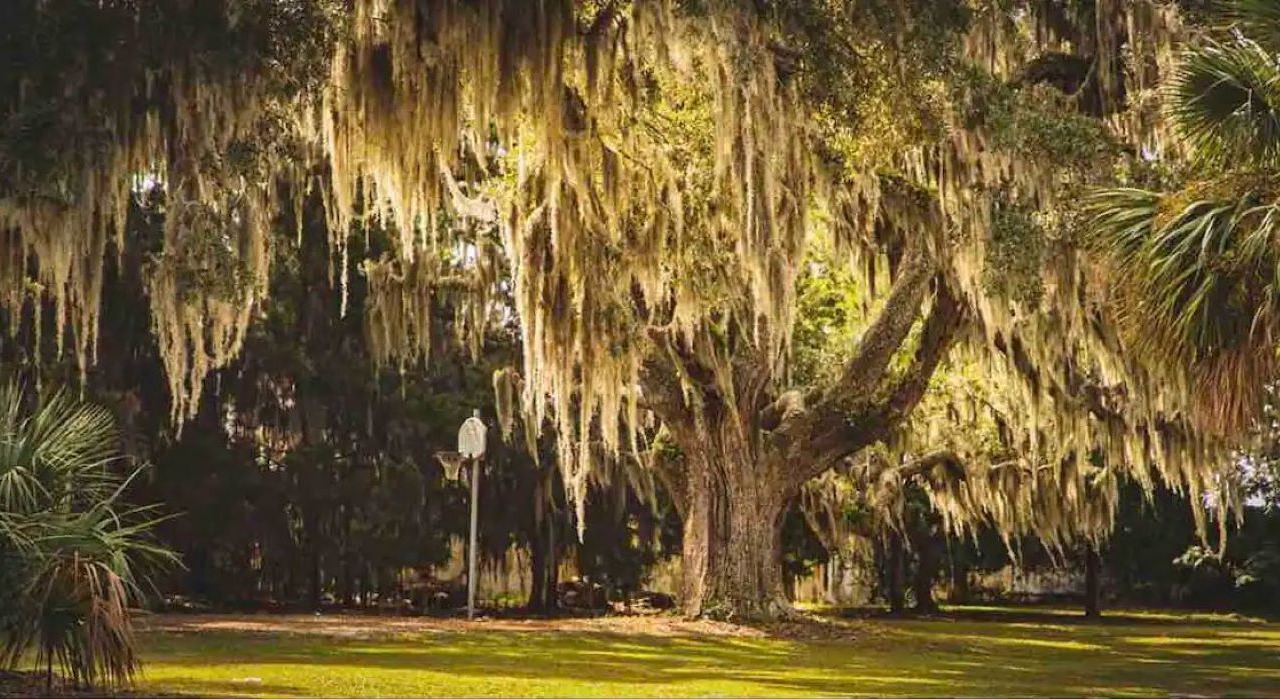 Photo of Outdoor in Metropolitan