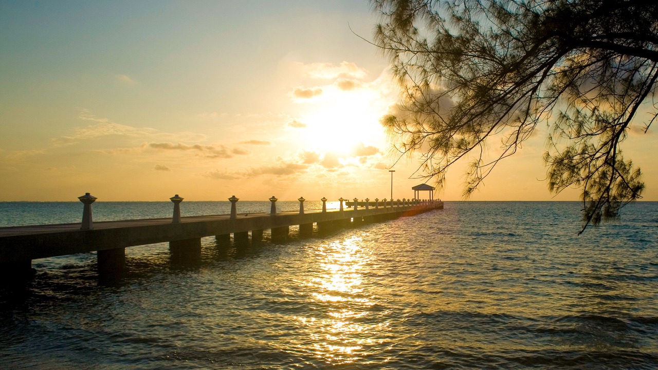 Photo of Others in Rum Point